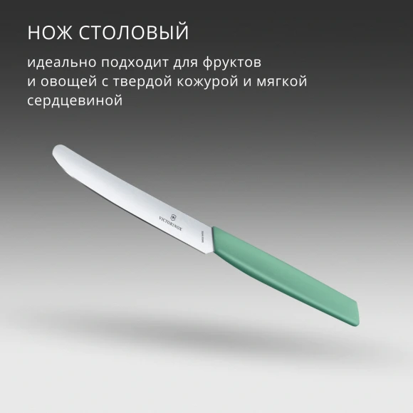Нож кухонный Victorinox Swiss Modern (6.9006.1141) стальной столовый лезв.110мм прямая заточка мятный Нож кухонный Victorinox Swiss Modern (6.9006.1141) стальной столовый лезв.110мм прямая заточка мятный