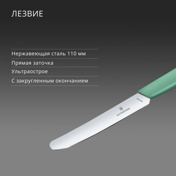 Нож кухонный Victorinox Swiss Modern (6.9006.1141) стальной столовый лезв.110мм прямая заточка мятный Нож кухонный Victorinox Swiss Modern (6.9006.1141) стальной столовый лезв.110мм прямая заточка мятный