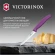 Нож кухонный Victorinox Swiss Classic (6.7705.C1) для овощей лезв.100мм прямая заточка пурпурный