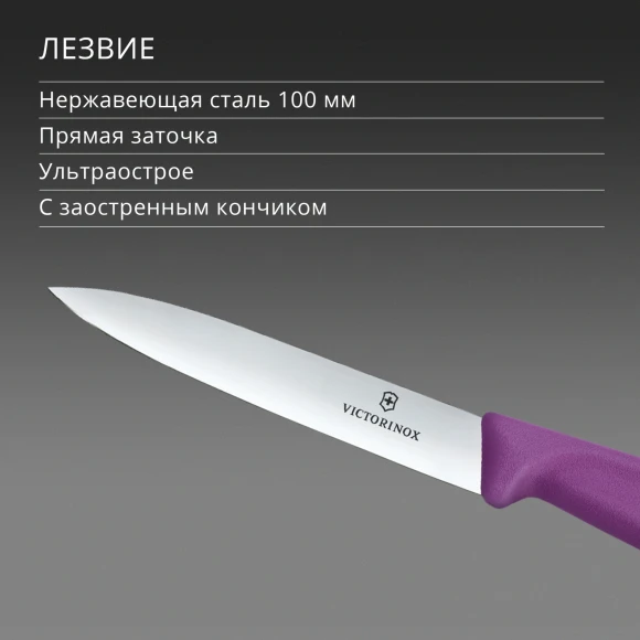 Нож кухонный Victorinox Swiss Classic (6.7705.C1) для овощей лезв.100мм прямая заточка пурпурный