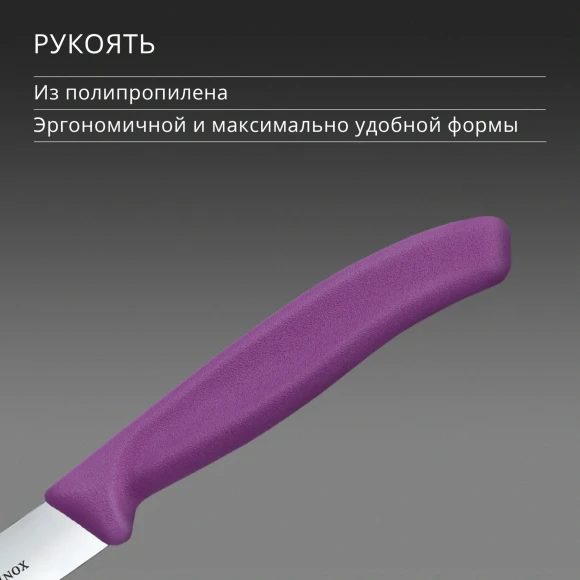 Нож кухонный Victorinox Swiss Classic (6.7705.C1) для овощей лезв.100мм прямая заточка пурпурный