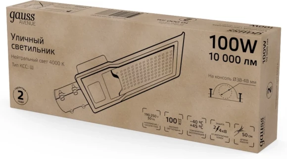Светильник уличный Gauss Avenue 100Вт ламп.:1шт черный/серый (629534200)