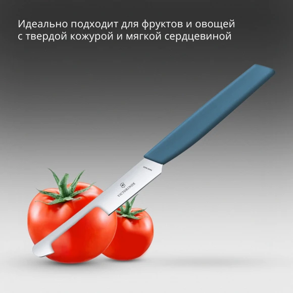 Нож кухонный Victorinox Swiss Modern (6.9006.112) стальной столовый лезв.110мм прямая заточка синий