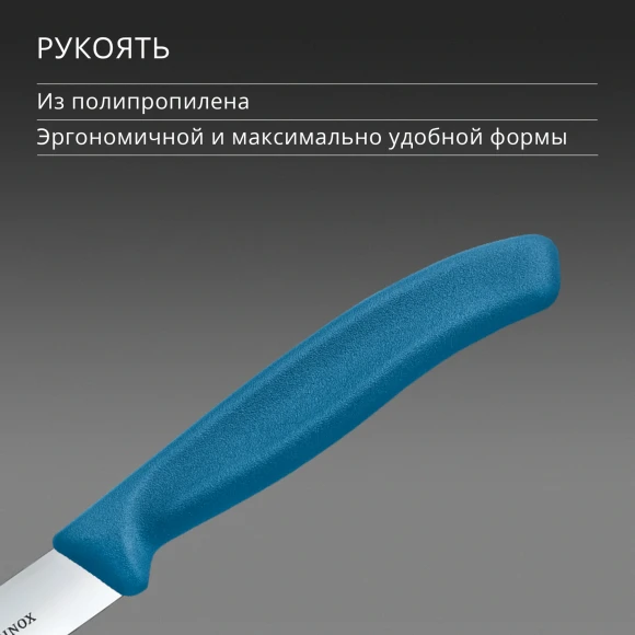 Нож кухонный Victorinox Swiss Classic (6.7702.C1) для овощей лезв.100мм прямая заточка синий