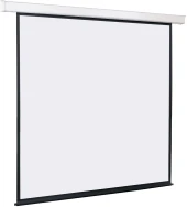 Экран Lumien 131" 244x244см Master Control 1:1 настенно-потолочный рулонный (моторизованный привод) Экран Lumien 131" 244x244см Master Control 1:1 настенно-потолочный рулонный (моторизованный привод)