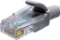 Патч-корд Suprlan 10-0141 UTP RJ-45 вил.-вилка RJ-45 кат.5E 0.5м серый LSZH 26AWG Патч-корд Suprlan 10-0141 UTP RJ-45 вил.-вилка RJ-45 кат.5E 0.5м серый LSZH 26AWG
