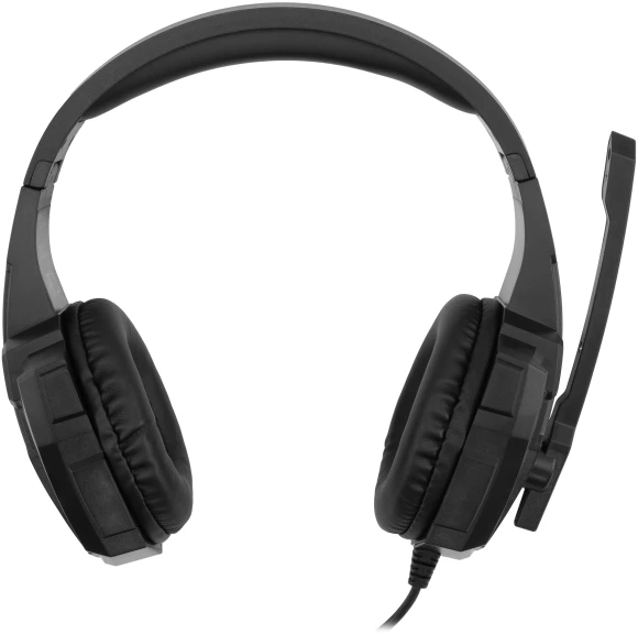 Наушники с микрофоном Оклик HS-L355G черный 1.8м мониторные оголовье (1939807) Наушники с микрофоном Оклик HS-L355G черный 1.8м мониторные оголовье (1939807)