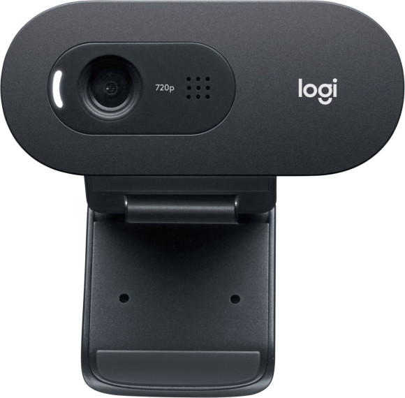 Камера Web Logitech HD Webcam C505e черный 1.2Mpix (1280x720) USB2.0 с микрофоном для ноутбука (960-001373)