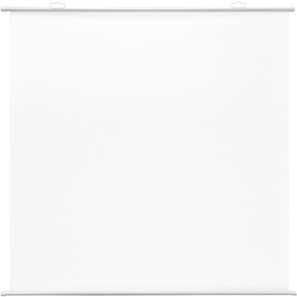 Экран Cactus 150x150см Map type CS-PSRM-150x150-WT 1:1 настенно-потолочный рулонный белый