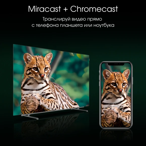 Телевизор OLED Digma Pro 55" OLED 55M Google TV Frameless черный/серебристый 4K Ultra HD 120Hz DVB-T DVB-T2 DVB-C DVB-S DVB-S2 USB WiFi Smart TV