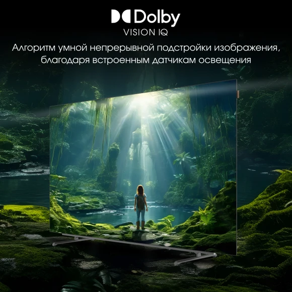 Телевизор OLED Digma Pro 55" OLED 55M Google TV Frameless черный/серебристый 4K Ultra HD 120Hz DVB-T DVB-T2 DVB-C DVB-S DVB-S2 USB WiFi Smart TV