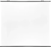 Экран Cactus 150x150см Map type CS-PSRM-150x150-BK 1:1 настенно-потолочный рулонный черный