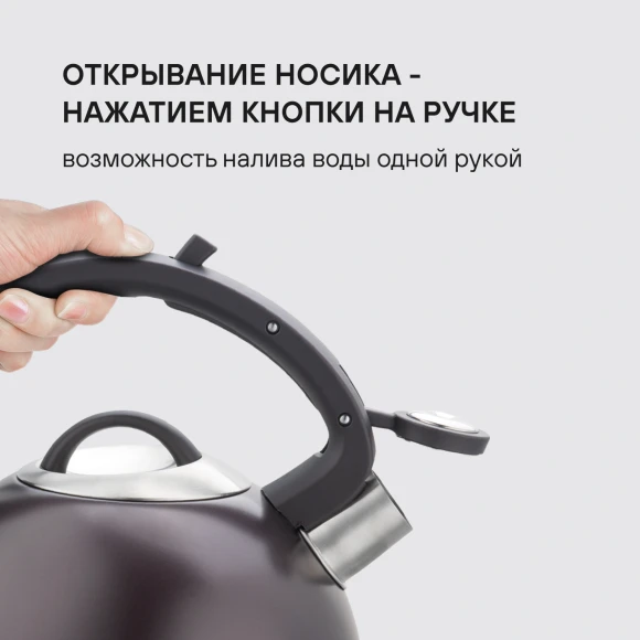 Чайник металлический Rondell Tierno RDS-1900 2.9л. фиолетовый Чайник металлический Rondell Tierno RDS-1900 2.9л. фиолетовый