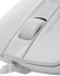 Мышь A4Tech Fstyler FM12S белый оптическая 1200dpi silent USB 3but (FM12S WHITE) Мышь A4Tech Fstyler FM12S белый оптическая 1200dpi silent USB 3but (FM12S WHITE)
