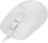 Мышь A4Tech Fstyler FM12S белый оптическая 1200dpi silent USB 3but (FM12S WHITE) Мышь A4Tech Fstyler FM12S белый оптическая 1200dpi silent USB 3but (FM12S WHITE)