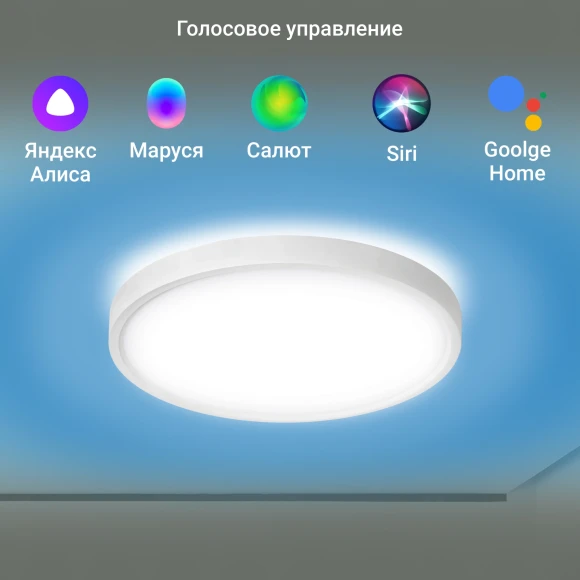 Умный светильник Digma TopLight TL40 потолоч. белый (TL40)