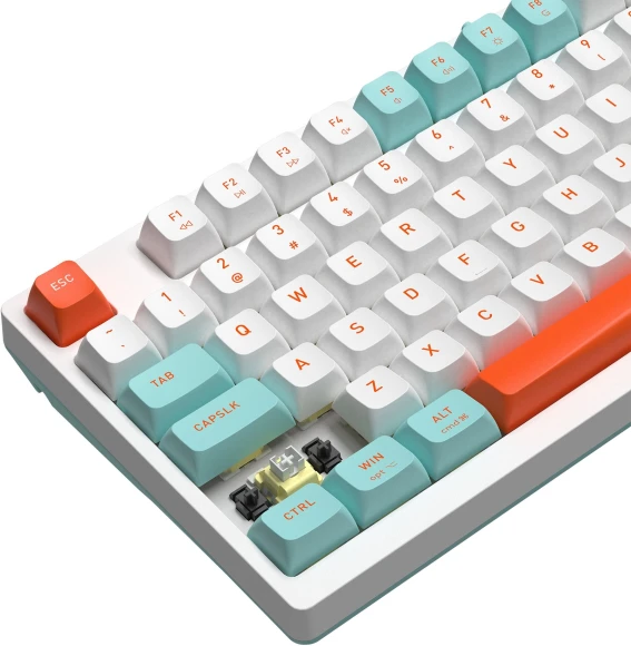 Клавиатура A4Tech Fstyler FS300 механическая белый USB for gamer LED (FS300 PANDA SNORKLENING) Клавиатура A4Tech Fstyler FS300 механическая белый USB for gamer LED (FS300 PANDA SNORKLENING)