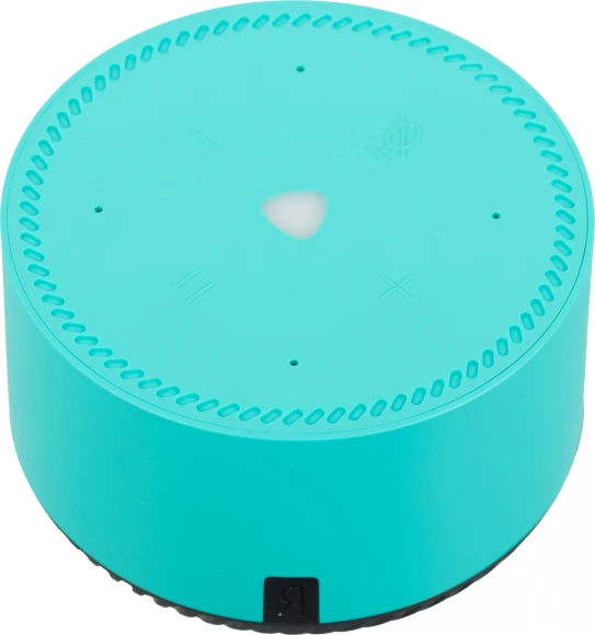 Умная колонка Yandex Станция Лайт Алиса бирюзовый 5W 1.0 BT 10м (YNDX-00025G) Умная колонка Yandex Станция Лайт Алиса бирюзовый 5W 1.0 BT 10м (YNDX-00025G)