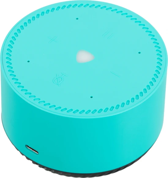 Умная колонка Yandex Станция Лайт Алиса бирюзовый 5W 1.0 BT 10м (YNDX-00025G) Умная колонка Yandex Станция Лайт Алиса бирюзовый 5W 1.0 BT 10м (YNDX-00025G)