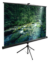Экран Cactus 165x220см TriExpert CS-PSTE-220x165-BK 4:3 напольный рулонный черный Экран Cactus 165x220см TriExpert CS-PSTE-220x165-BK 4:3 напольный рулонный черный