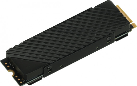 Накопитель SSD Digma PCIe 4.0 x4 1TB DGST4001TG33T Top G3 M.2 2280