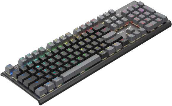 Клавиатура A4Tech Fstyler FS100 Neon механическая черный USB for gamer LED (FS100) кабель 1.8м