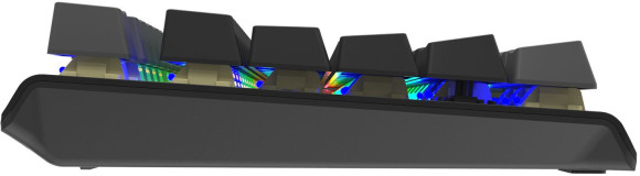 Клавиатура A4Tech Fstyler FS100 Neon механическая черный USB for gamer LED (FS100) кабель 1.8м