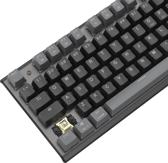 Клавиатура A4Tech Fstyler FS100 Neon механическая черный USB for gamer LED (FS100) кабель 1.8м