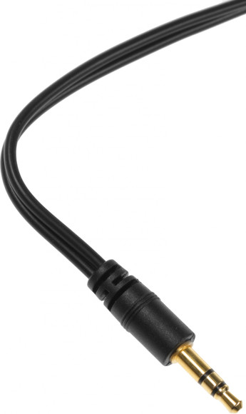 Наушники накладные Audio-Technica ATH-AVC200 3м черный проводные оголовье (15118391) Наушники накладные Audio-Technica ATH-AVC200 3м черный проводные оголовье (15118391)