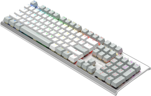 Клавиатура A4Tech Fstyler FS100 Neon механическая серый USB for gamer LED (FS100) кабель 1.8м