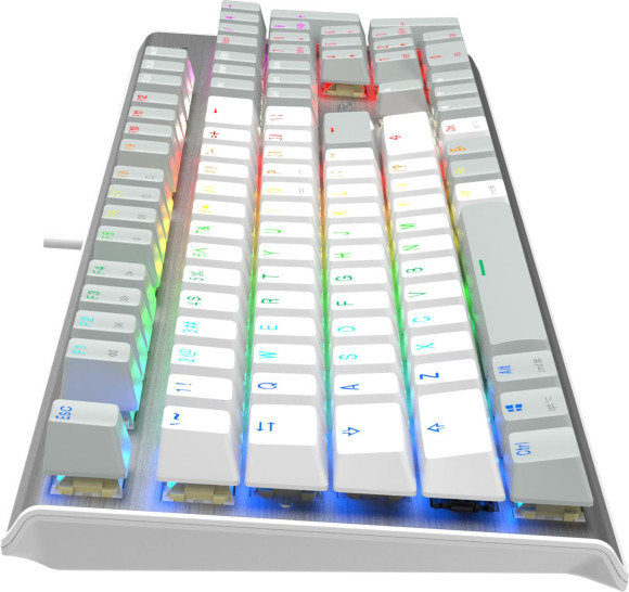 Клавиатура A4Tech Fstyler FS100 Neon механическая серый USB for gamer LED (FS100) кабель 1.8м