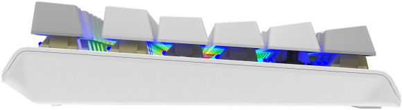 Клавиатура A4Tech Fstyler FS100 Neon механическая серый USB for gamer LED (FS100) кабель 1.8м