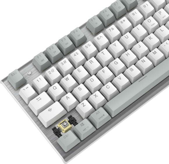 Клавиатура A4Tech Fstyler FS100 Neon механическая серый USB for gamer LED (FS100) кабель 1.8м