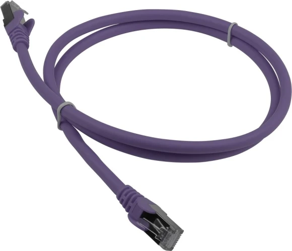 Патч-корд Lanmaster LAN-PC45/S6A-2.0-VI FTP RJ-45 вил.-вилка RJ-45 кат.6A 2м фиолетовый LSZH (уп.:1шт)