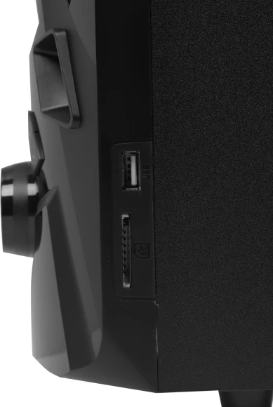 Колонки Creative SBS E2900 2.1 черный 60Вт Колонки Creative SBS E2900 2.1 черный 60Вт