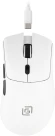 Мышь Оклик 801GW белый/черный оптическая 10000dpi беспров. BT/Radio USB 6but