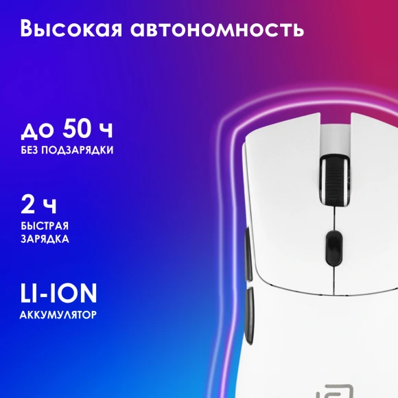 Мышь Оклик 801GW белый/черный оптическая 10000dpi беспров. BT/Radio USB 6but