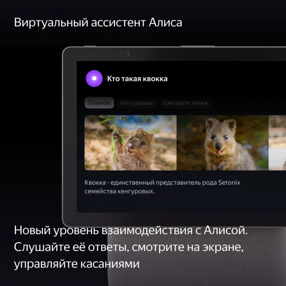 Умная колонка Yandex Станция Дуо Макс Zigbee Алиса бежевый 60W 1.0 BT/Wi-Fi 10м (YNDX-00055BIE) Умная колонка Yandex Станция Дуо Макс Zigbee Алиса бежевый 60W 1.0 BT/Wi-Fi 10м (YNDX-00055BIE)