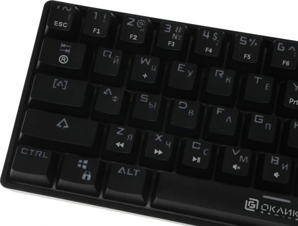Клавиатура Оклик K713X механическая черный USB Multimedia for gamer LED Клавиатура Оклик K713X механическая черный USB Multimedia for gamer LED