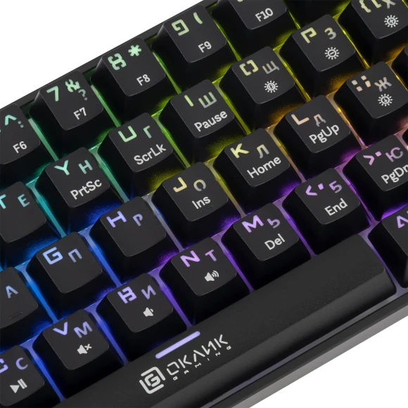 Клавиатура Оклик K713X механическая черный USB Multimedia for gamer LED Клавиатура Оклик K713X механическая черный USB Multimedia for gamer LED