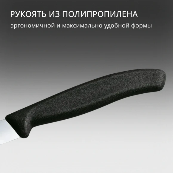 Нож кухонный Victorinox Swiss Classic (6.7703) стальной для чистки овощей и фруктов лезв.100мм прямая заточка черный Нож кухонный Victorinox Swiss Classic (6.7703) стальной для чистки овощей и фруктов лезв.100мм прямая заточка черный