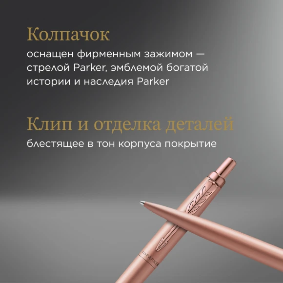 Ручка шариков. Parker Jotter Monochrome XL SE20 (2122755) роз.зол.мат. M син. черн. подар.кор.