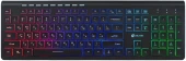 Клавиатура Оклик 490ML черный USB slim Multimedia LED (1067202) кабель 1.5м