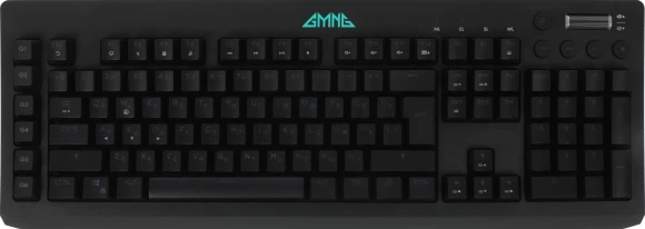 Клавиатура GMNG GG-KB770XP механическая черный USB Multimedia for gamer LED (подставка для запястий) (1901099) Клавиатура GMNG GG-KB770XP механическая черный USB Multimedia for gamer LED (подставка для запястий) (1901099)