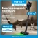 Пылесос Vitek VT-CLS06ULTRA 700Вт серый стальной/серебристый