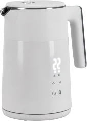 Хлебопечь Panasonic SD-PN100KTS 340Вт черный Хлебопечь Panasonic SD-PN100KTS 340Вт черный