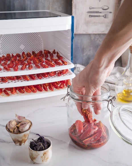 Сушка для фруктов и овощей Starwind SFD6430 6под. 400Вт синий