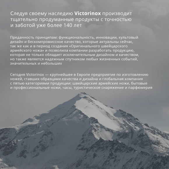 Нож кухонный Victorinox Swiss Classic (6.7303) стальной лезв.60мм прямая заточка черный