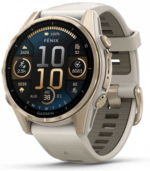 Смарт-часы Garmin Fenix fenix 8 47mm 47мм 1.4" AMOLED корп.серый рем.серый разм.брасл.:125-210мм (010-02904-40)