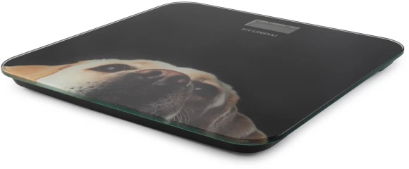 Весы напольные электронные Hyundai H-BS03674 макс.180кг черный